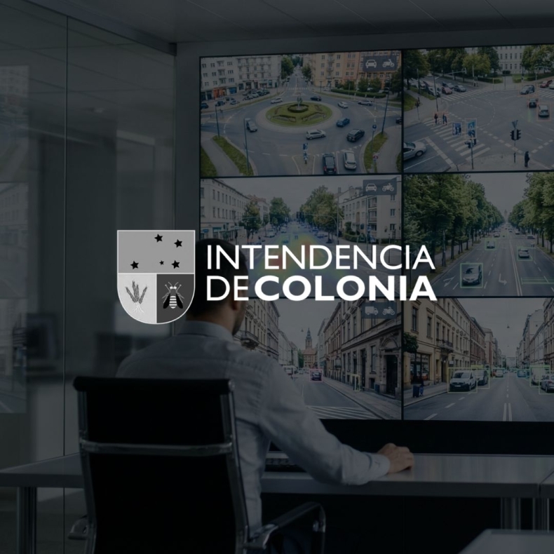 Intendencia de colonia